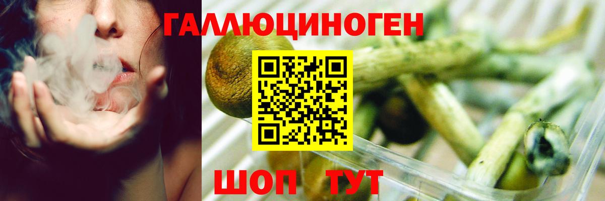 Псилоцибиновые грибы Cubensis Краснодар